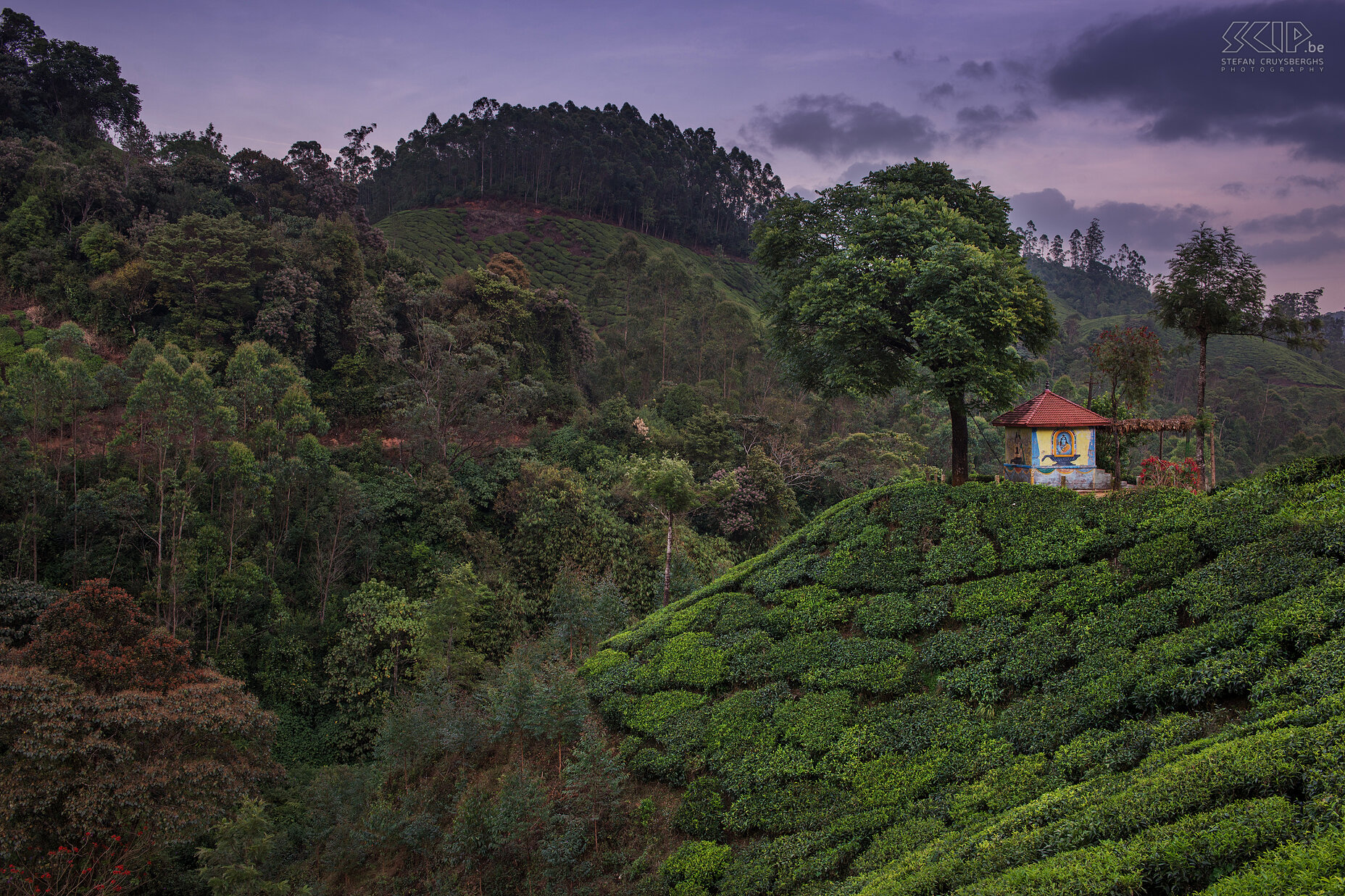 Munnar - Tempeltje Een tempeltje tussen de theevelden in Munnar vlak na zonsondergang. Stefan Cruysberghs